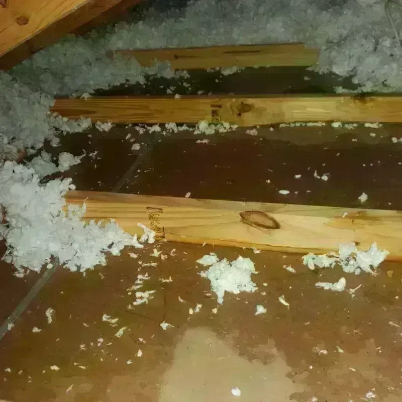 Attic Water Damage in Irrigon, OR