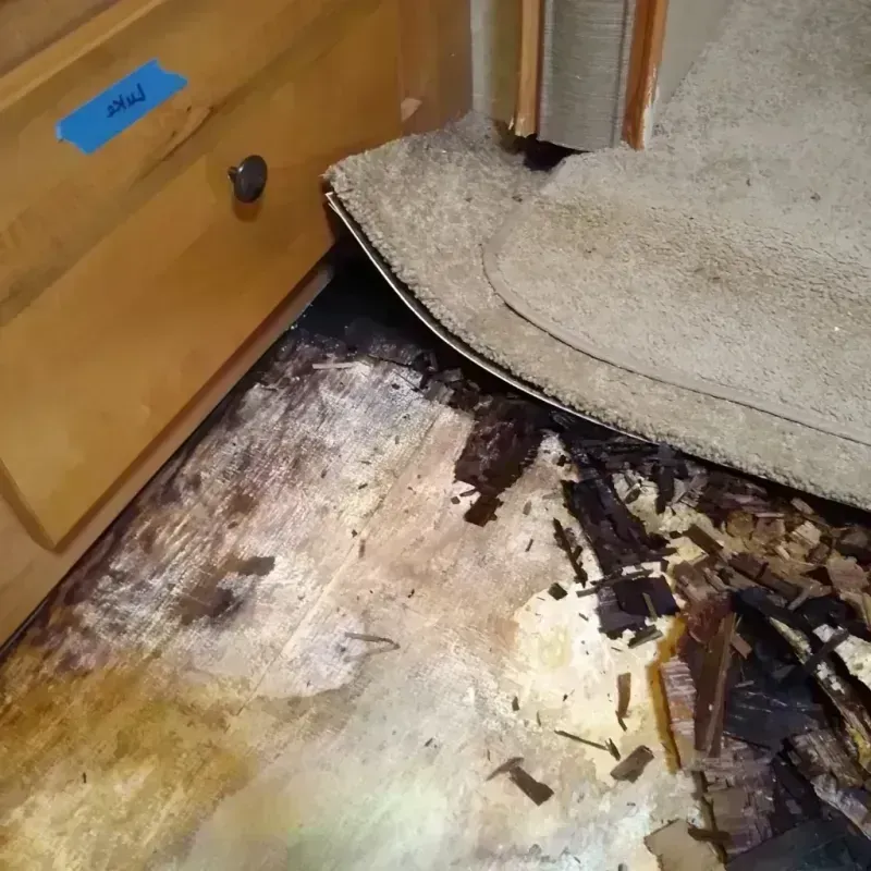 Wood Floor Water Damage in Irrigon, OR